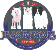 Jess Royals Kennel - Cão de Crista Chinês